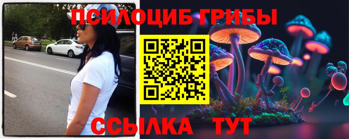 Псилоцибиновые грибы Magic Shrooms Минусинск